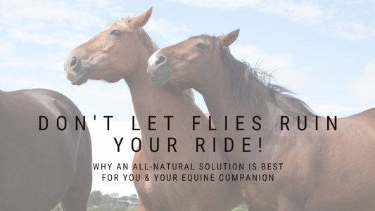 Flies Bugging your Equine Companion? - Ashton Organics Cleaning, LLC